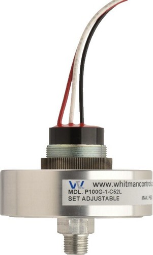 Whitman Controls P117V-3H-C52L-DIS for sale