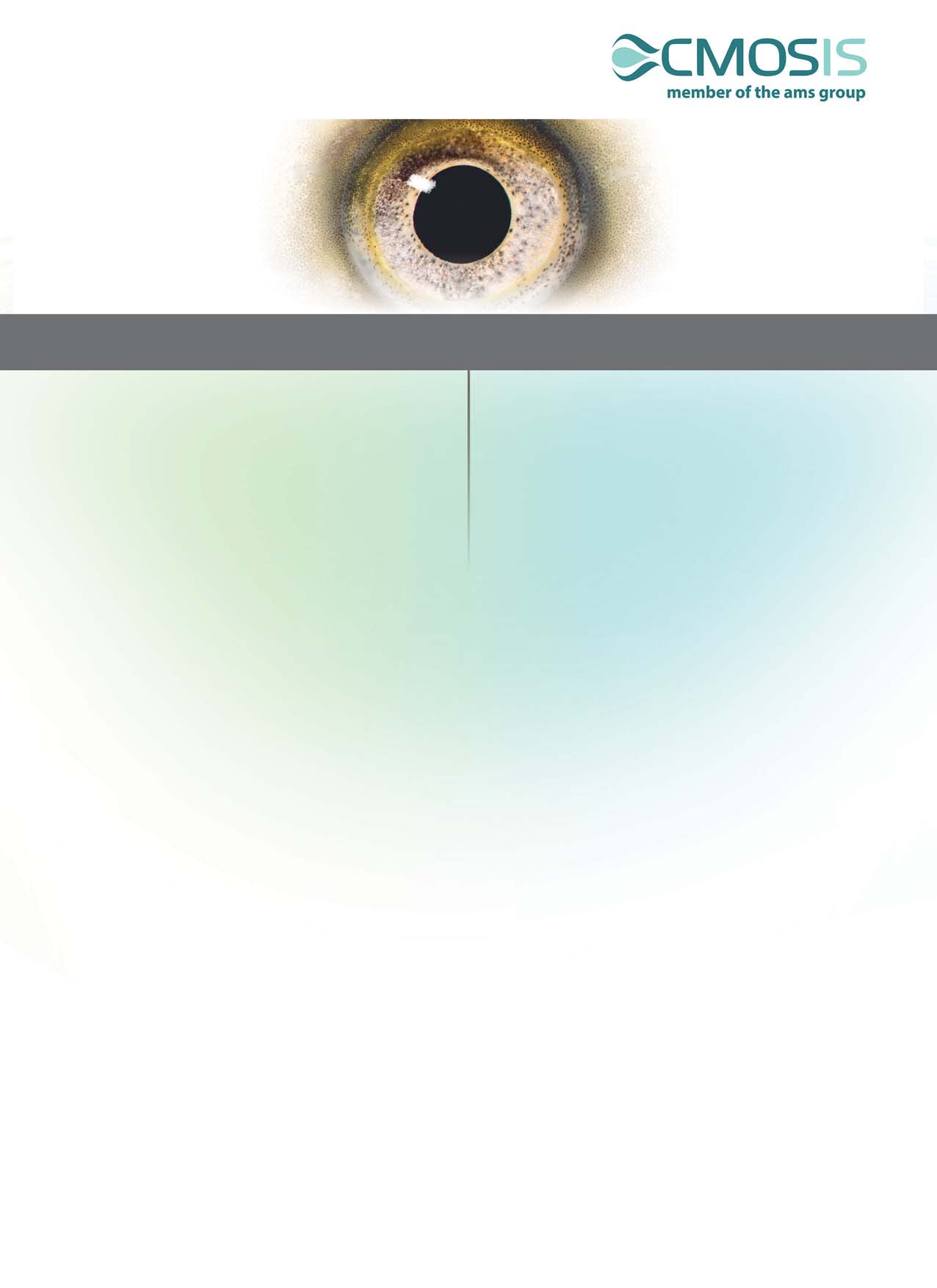 AMS CMV2000-3E5M1PN for sale