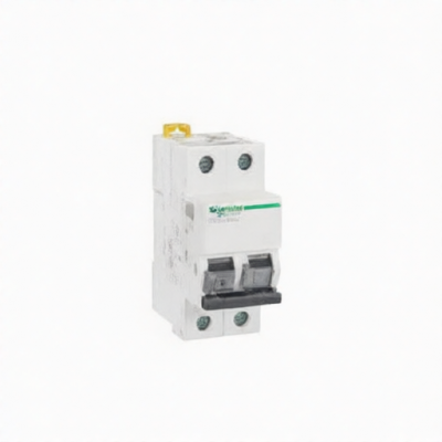 Schneider IC65N 2P C20A for sale