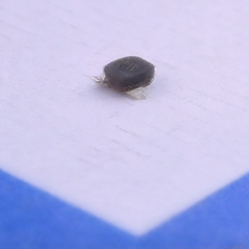 Jingdao Microelectronics MM3Z30 for sale