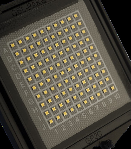 Wolfspeed CGH60030D-GP4 for sale