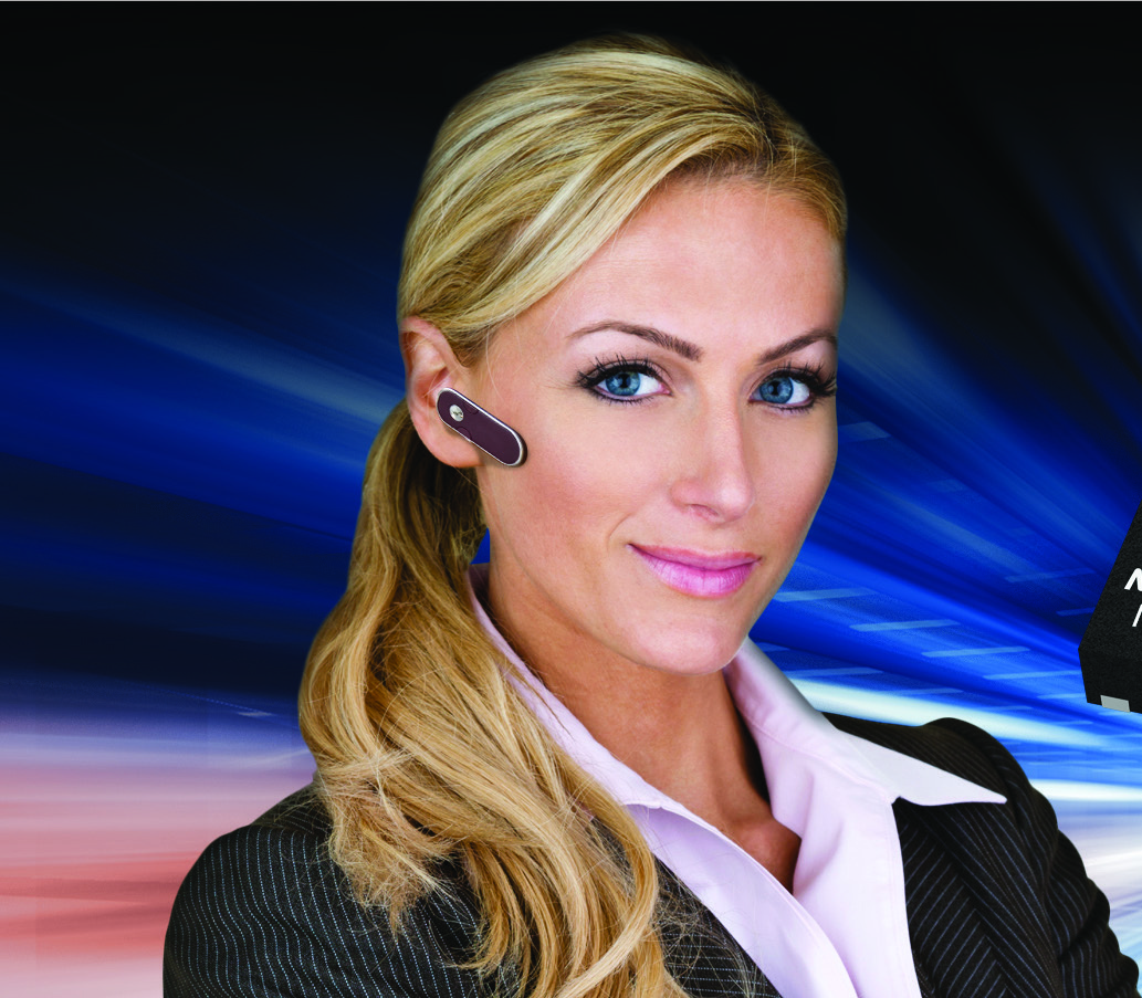 MICROCHIP MCP73124-2JAI/MF for sale