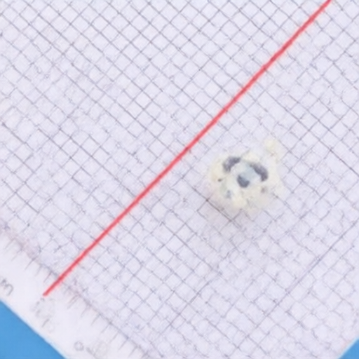 GUOCONN 0.8K-BS-30PWB-TW for sale