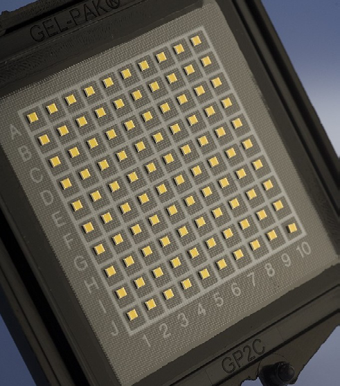 Wolfspeed CG2H80015D-GP4 for sale