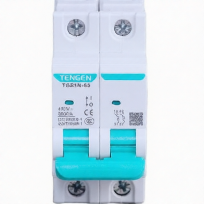 TENGEN TGB1N-63 2P C10 for sale