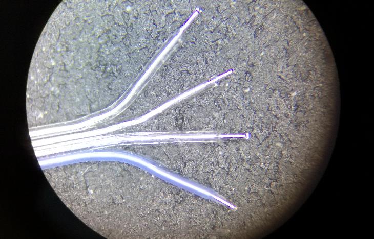 AMS NE2D_RGB_V120F4.0_2M for sale