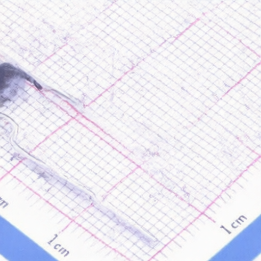 Nanjing Shiheng Elec MF72 2.5D11 for sale