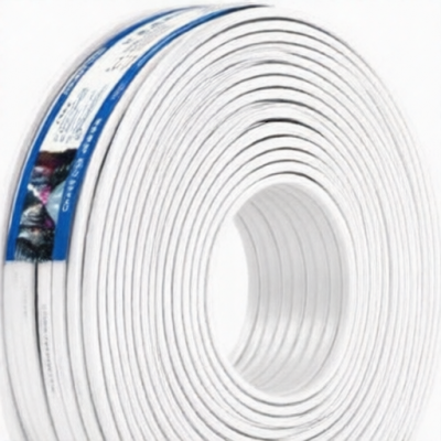 CHINT CTW RVV-300/500V-24x1 for sale
