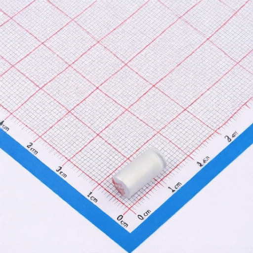 ChuangHui RS681M160E120R1Z00ZZ for sale