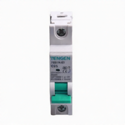TENGEN TGB1N-63 1P C25 for sale