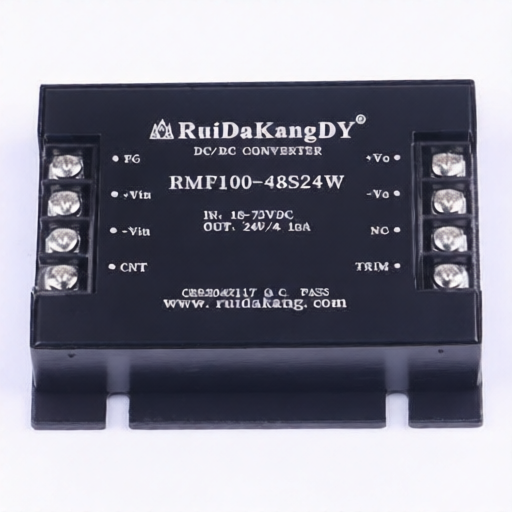 ruidakangDY RMF100-48S24W for sale
