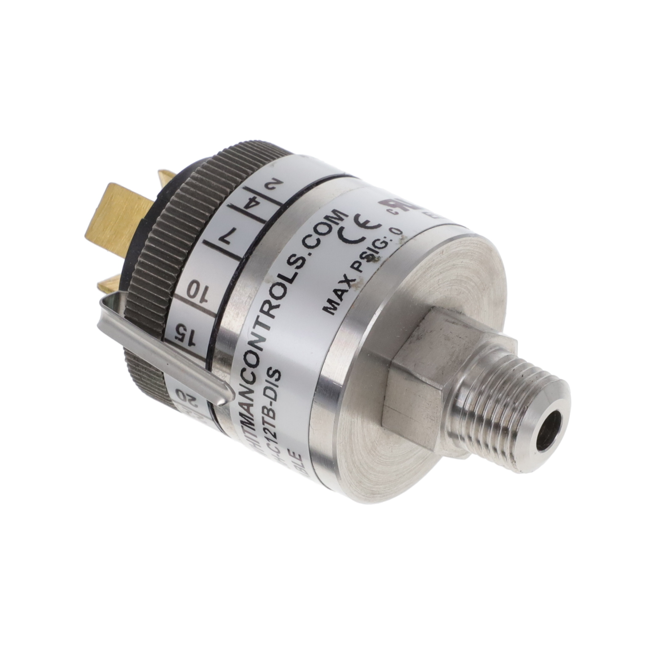 Whitman Controls P117V-3H-C12TB-DIS for sale