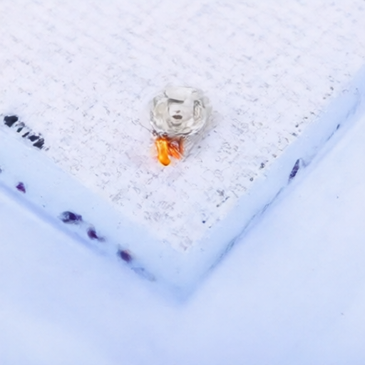 BAOTER 303-22 for sale