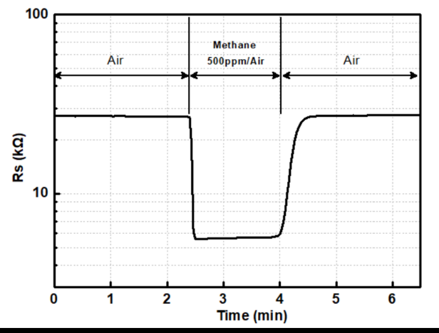 Sensor Element GMH2110-C07 for sale