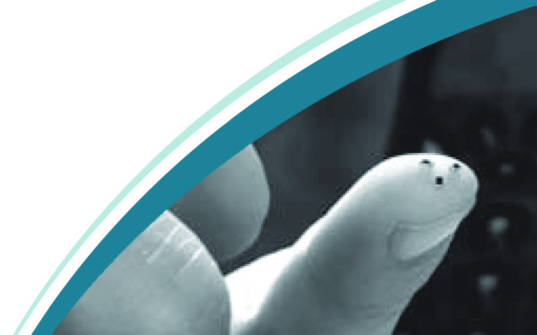 Ametherm SM06502345 for sale