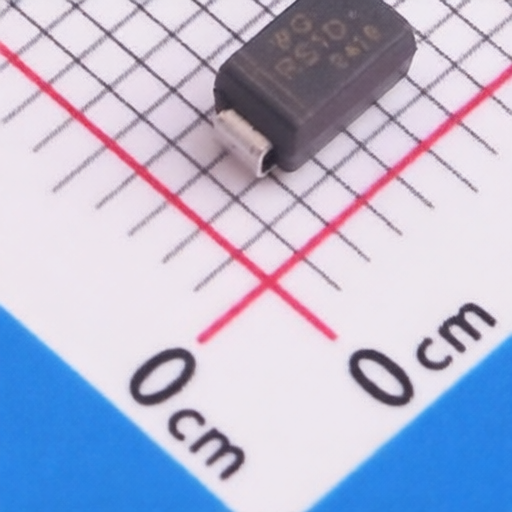 Wild Goose RS1D for sale