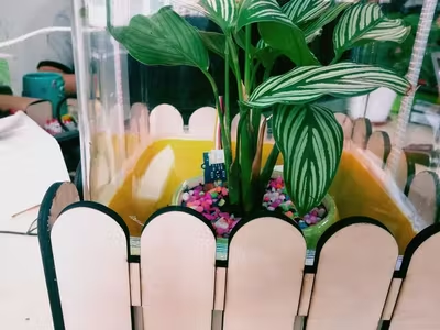 Seeed 101020912 for sale