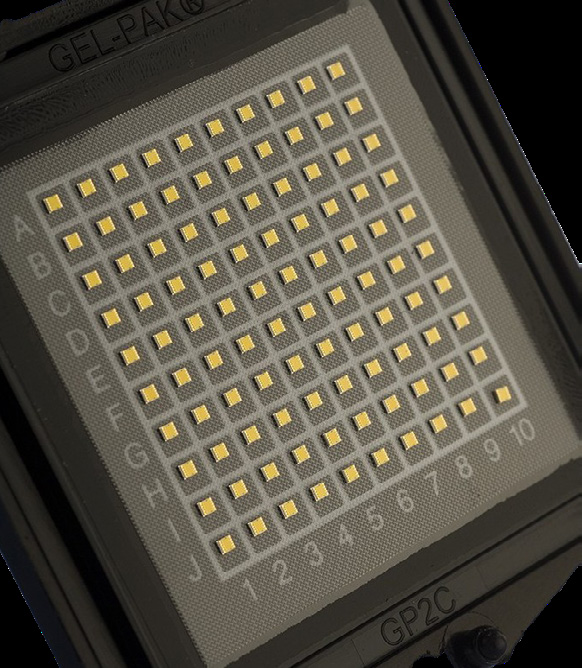 Wolfspeed CGH60008D-GP4 for sale