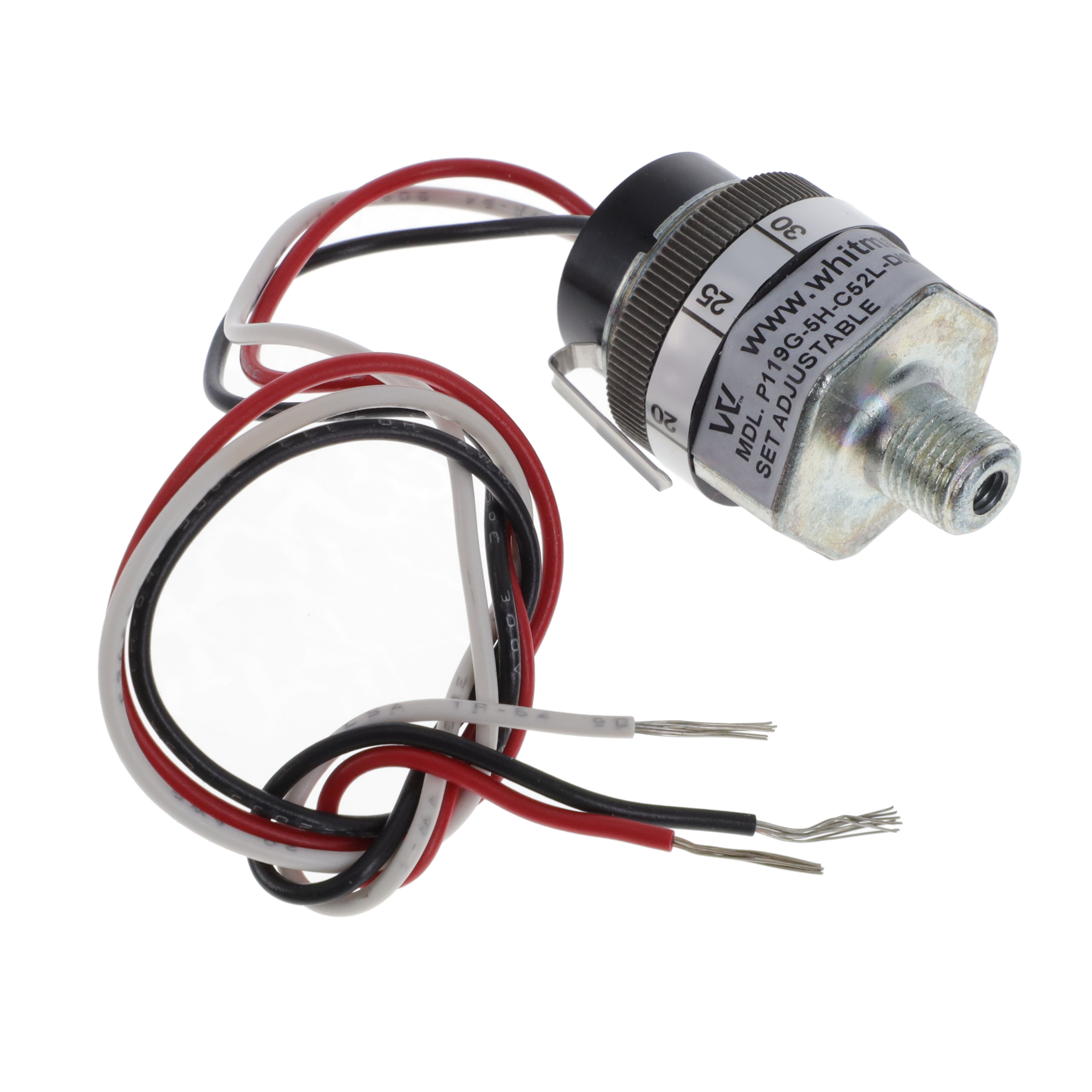 Whitman Controls P119G-5H-C52L-DIS for sale